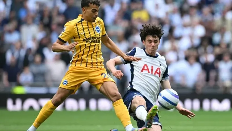 Trận đấu giữa Brighton vs Tottenham khả năng cao kết thúc với một tỷ số hòa